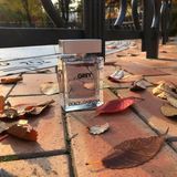 Dolce Gabbana The One Grey Eau de Toilette Intense