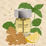 Nước Hoa YSL L'homme Eau de Toilette