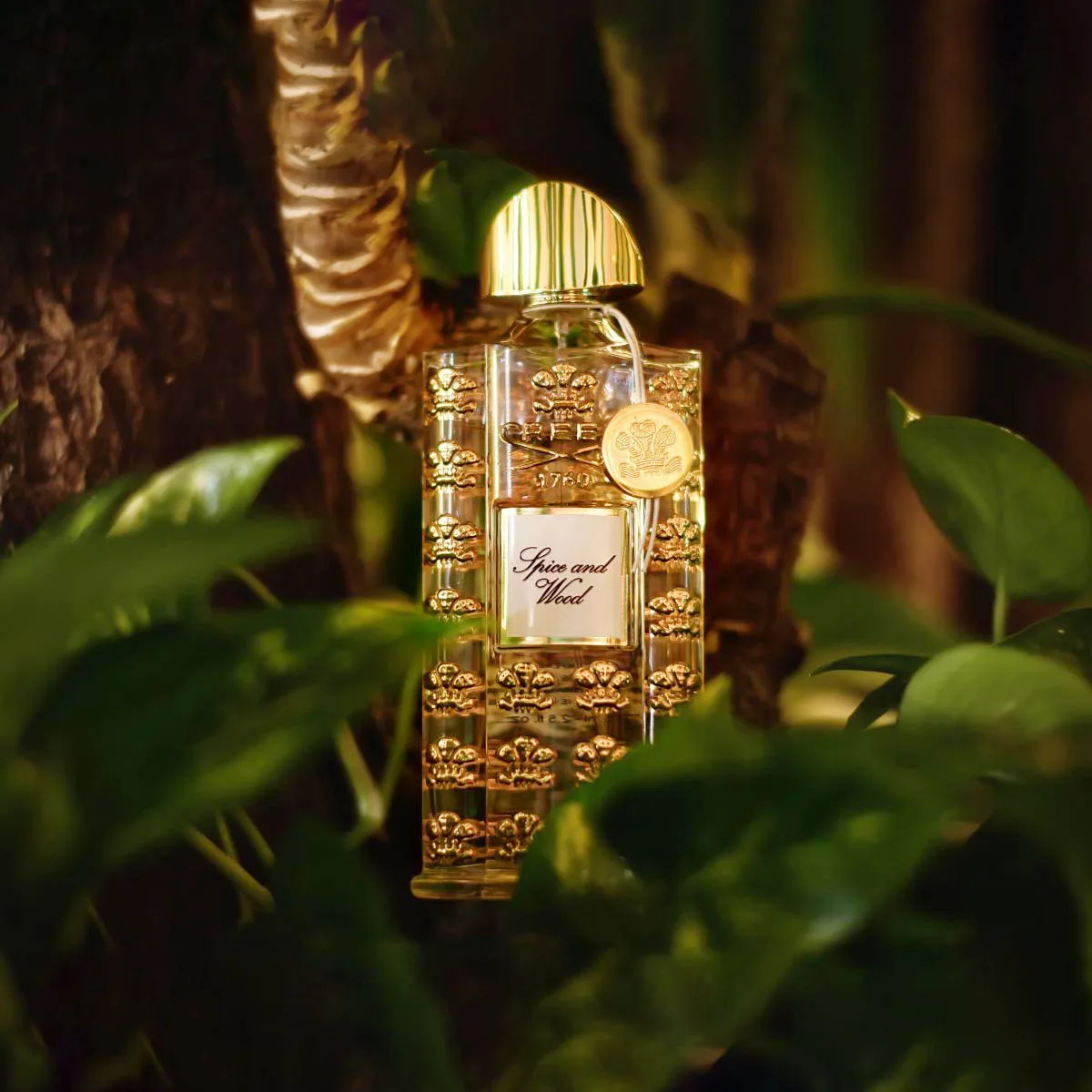 Nước hoa nam Creed Spice and Wood