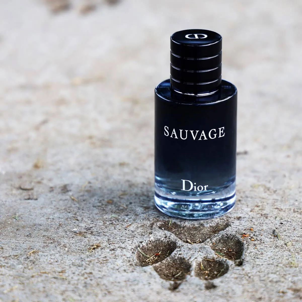 nước hoa nam dior sauvage edt