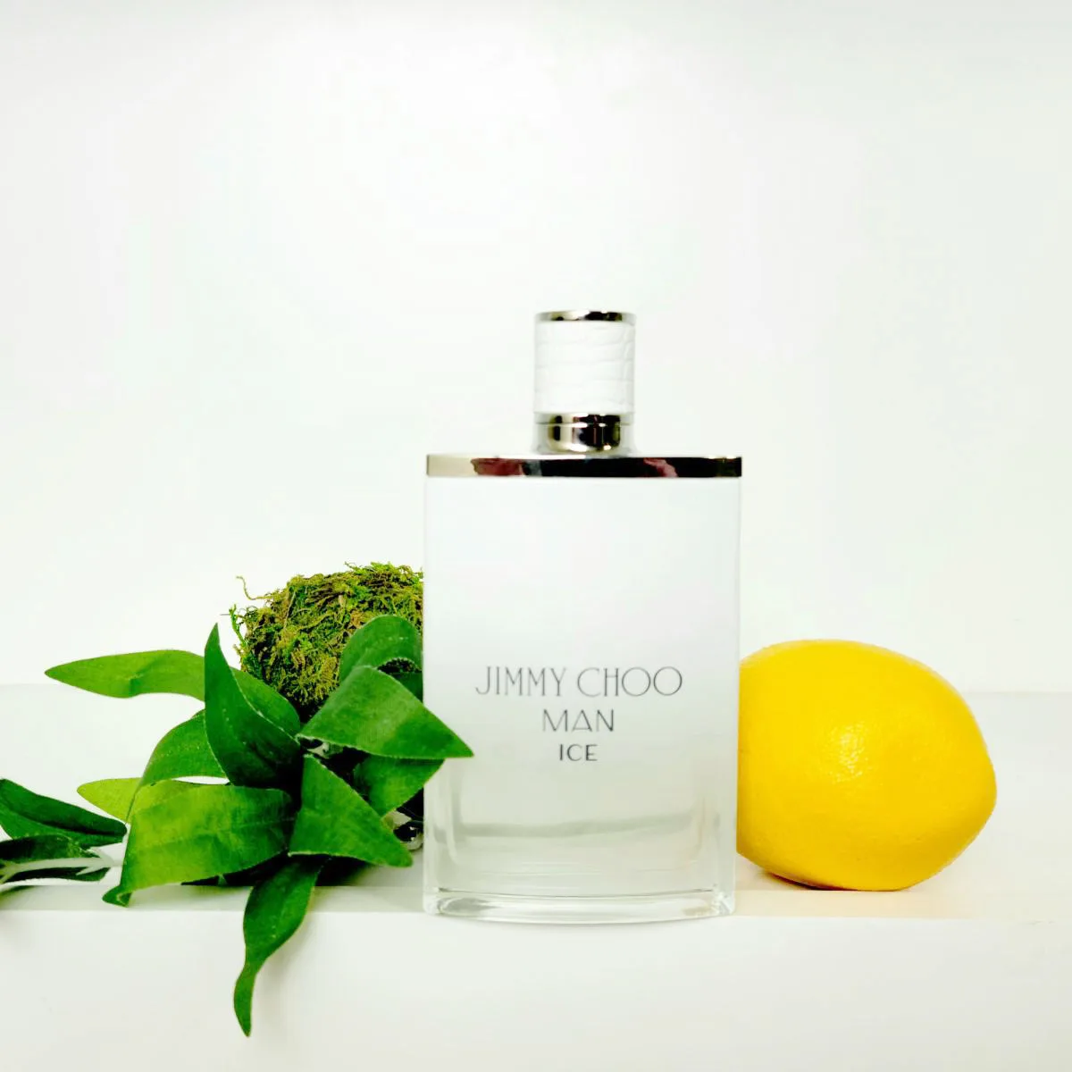 Mùi hương nước hoa Jimmy Choo Man Ice