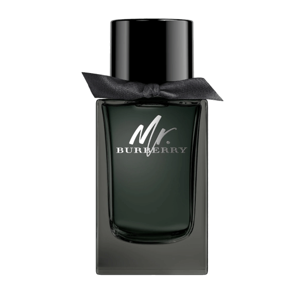 Burberry Mr Burberry EDP 100ml