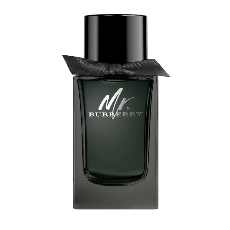 Burberry Mr Burberry EDP 100ml
