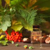 Dolce Gabbana Pour Femme Eau de Parfum