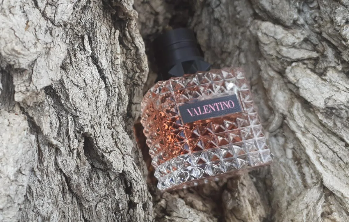 Nước Hoa Valentino Donna Born In Roma