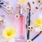 Nước Hoa Nữ Dior Addict Eau Fraiche