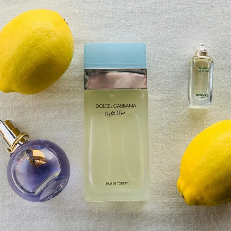 Dolce Gabbana Light Blue For Women Eau de toilette