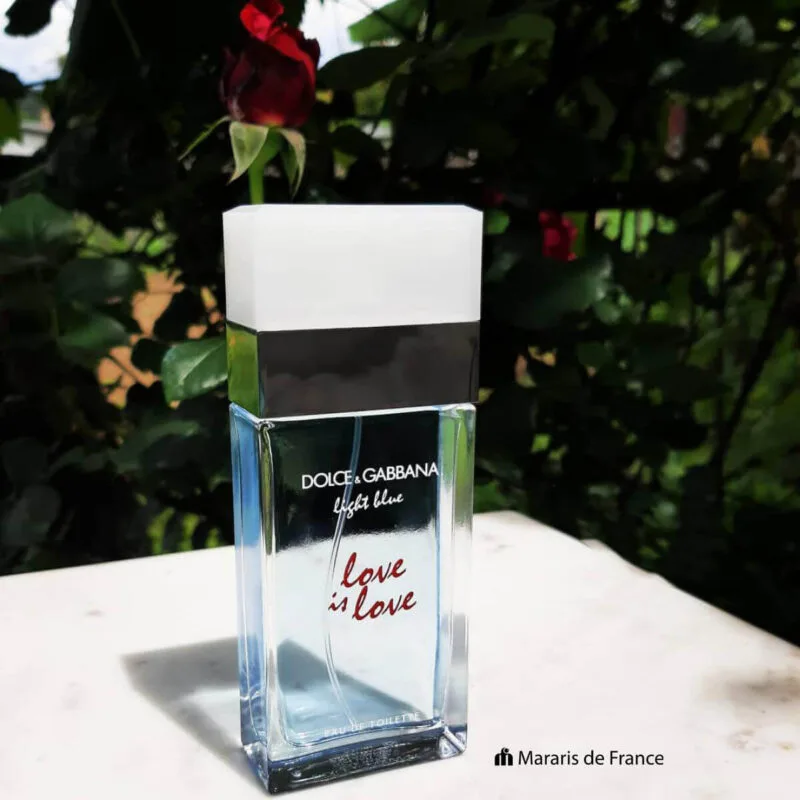 Dolce Gabbana Light Blue Love Is Love For Women