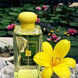 Nước Hoa Jo Malone Frangipani Flower Cologne