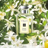 Nước Hoa Jo Malone London Osmanthus Cologne