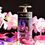 Prada Candy Night