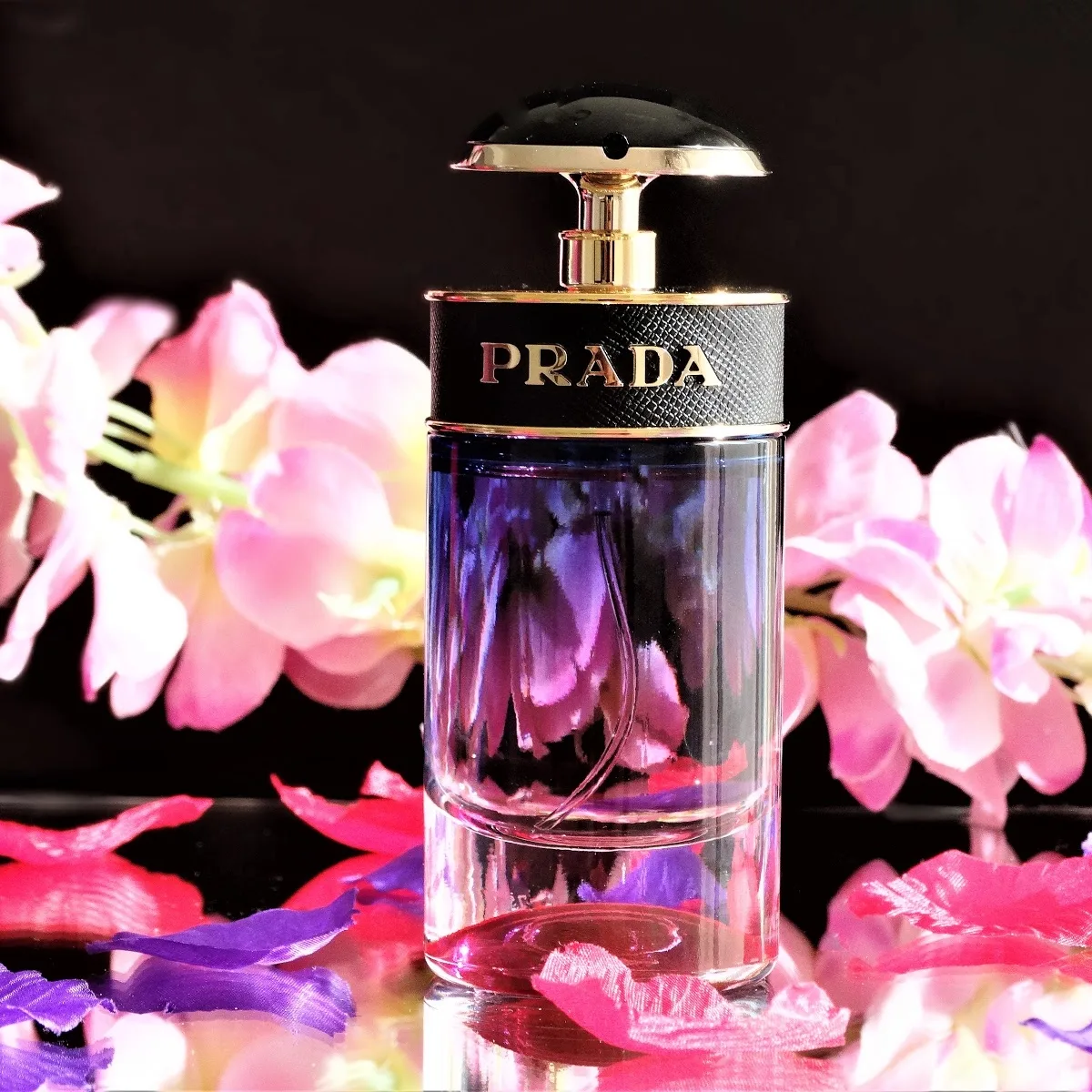 Prada Candy Night