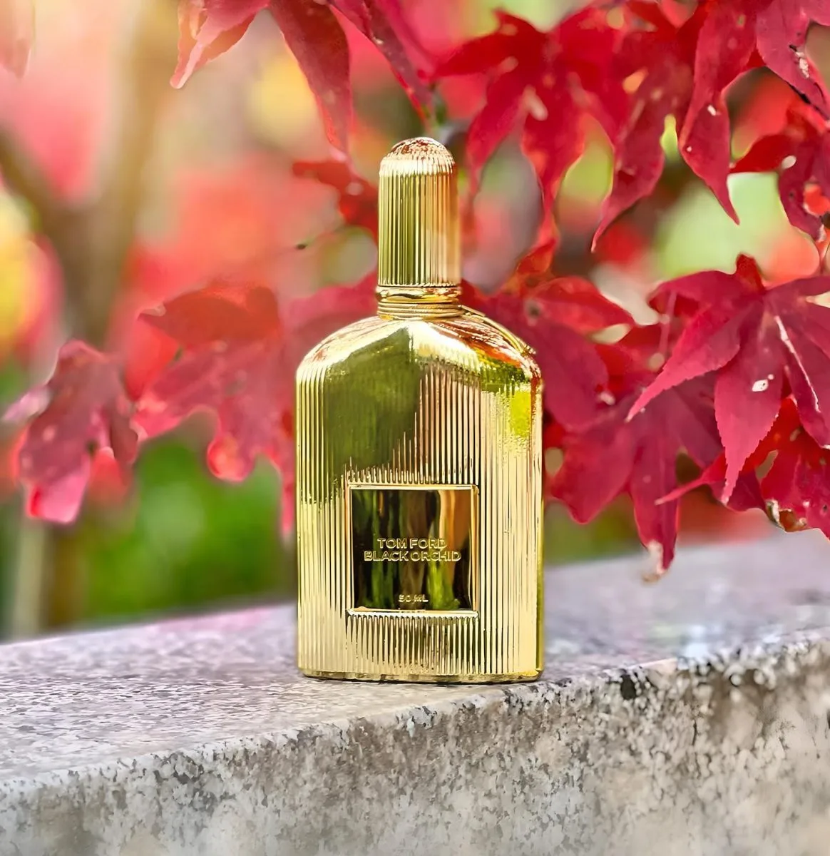 Tom Ford Black Orchid Parfum