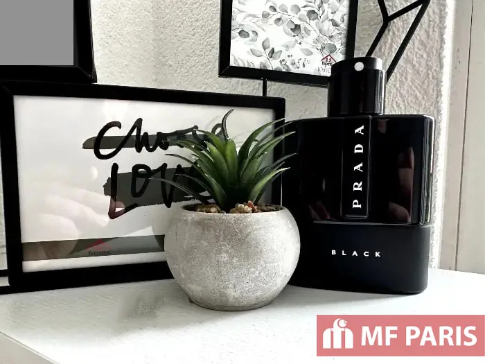 Nước Hoa Prada Luna Rossa Black có Mùi gì