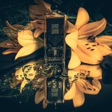 Serge Lutens Fils de Joie Eau de Parfum