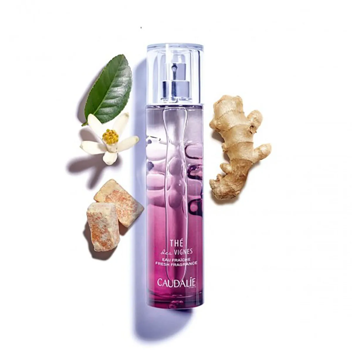 Nước Hoa Caudalie The Des Vignes Eau Fraiche