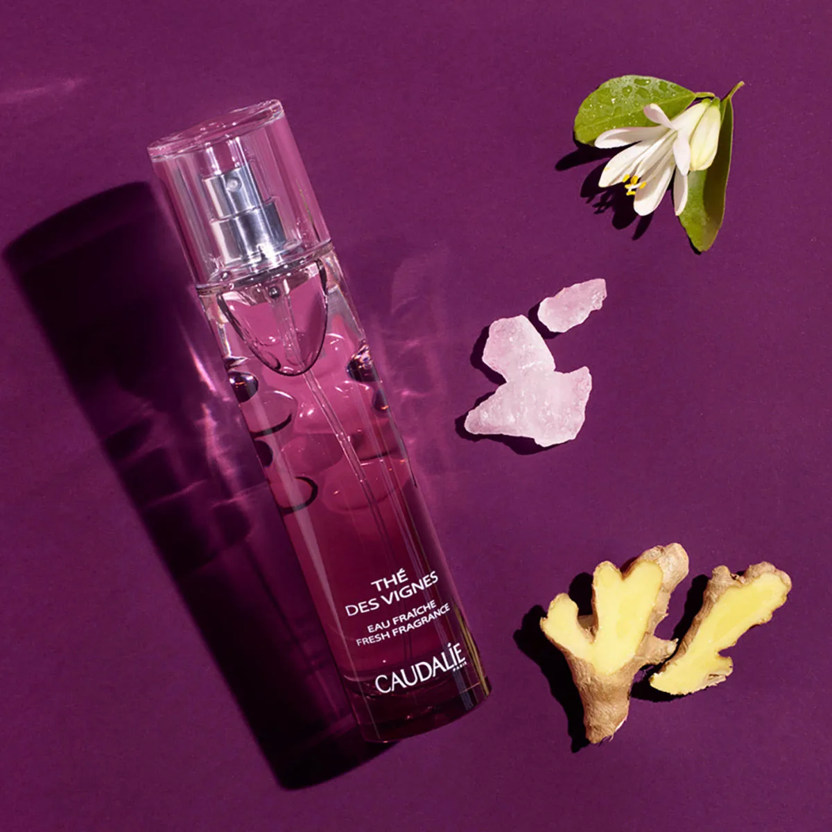 Nước Hoa Caudalie The Des Vignes Eau Fraiche