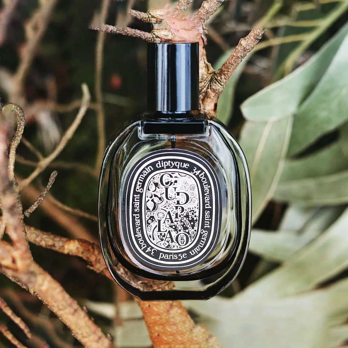 Nước hoa unisex Diptyque Oud Palao Eau de parfum