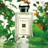 Nước Hoa Jo Malone London Basil & Neroli Cologne