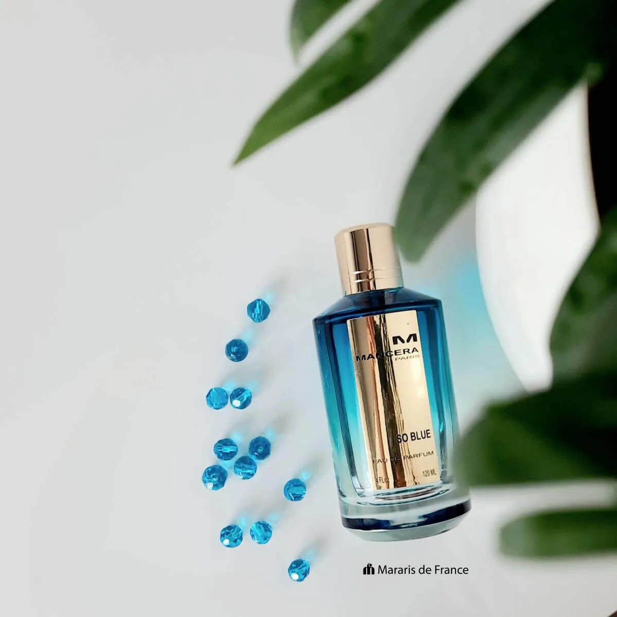 Nước hoa Mancera So Blue EDP 120ml