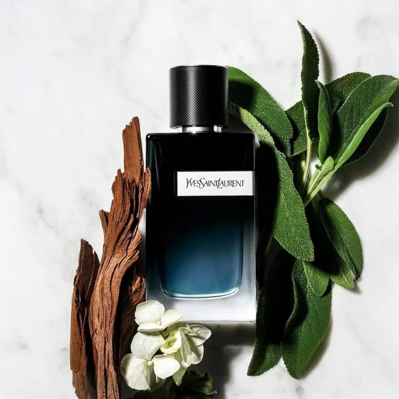Hương Thơm Của Nước Hoa YSL Y Eau de Parfum 