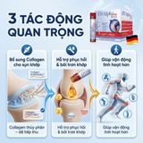 Nước Uống Hỗ Trợ Tái Tạo Sụn Khớp CH-Alpha PLUS Bioactive Collagen Peptides Tác Dụng