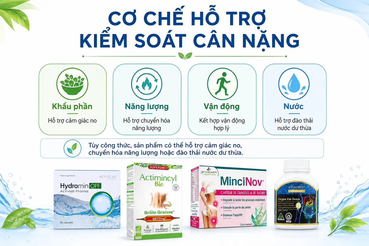 Các cơ chế hỗ trợ kiểm soát cân nặng của thực phẩm bổ sung