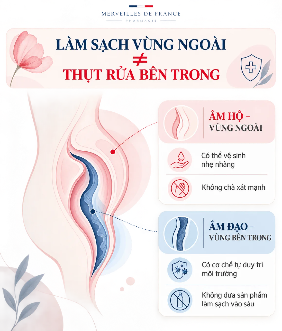 Phân biệt âm hộ và âm đạo để vệ sinh vùng kín đúng cách và tránh thụt rửa bên trong
