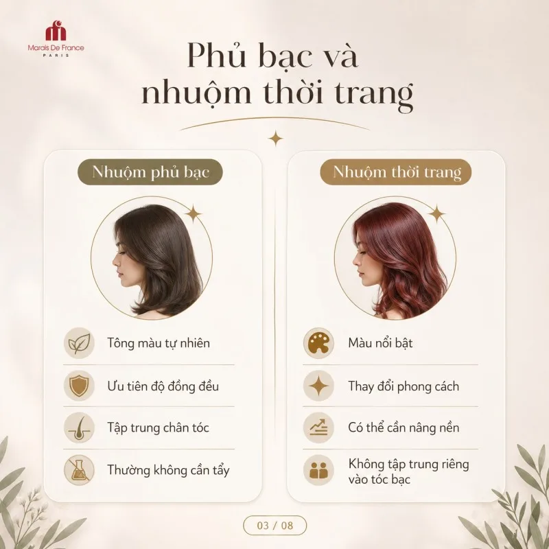 Infographic phân biệt nhuộm tóc phủ bạc và nhuộm tóc thời trang theo màu sắc và mục đích