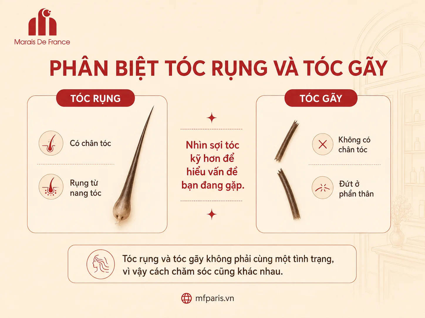 Phân biệt tóc rụng từ chân và tóc gãy ở phần thân Phân biệt tóc rụng từ chân và tóc gãy ở phần thân