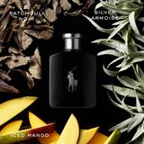 Ralph Lauren Polo Black Eau de Toilette