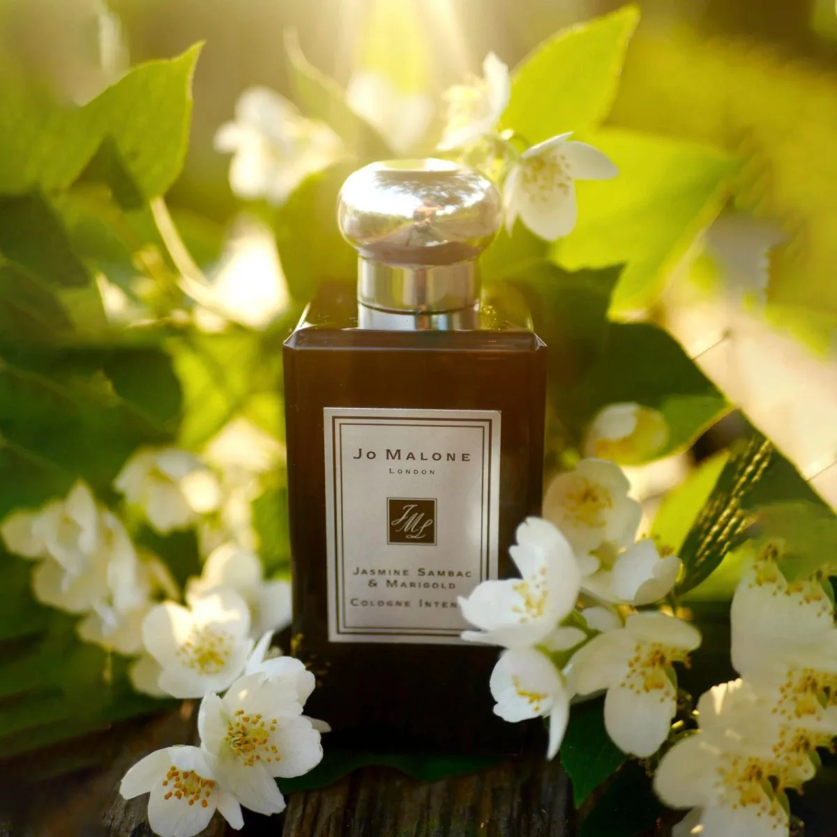 Jo Malone Jasmine Sambac & Marigold