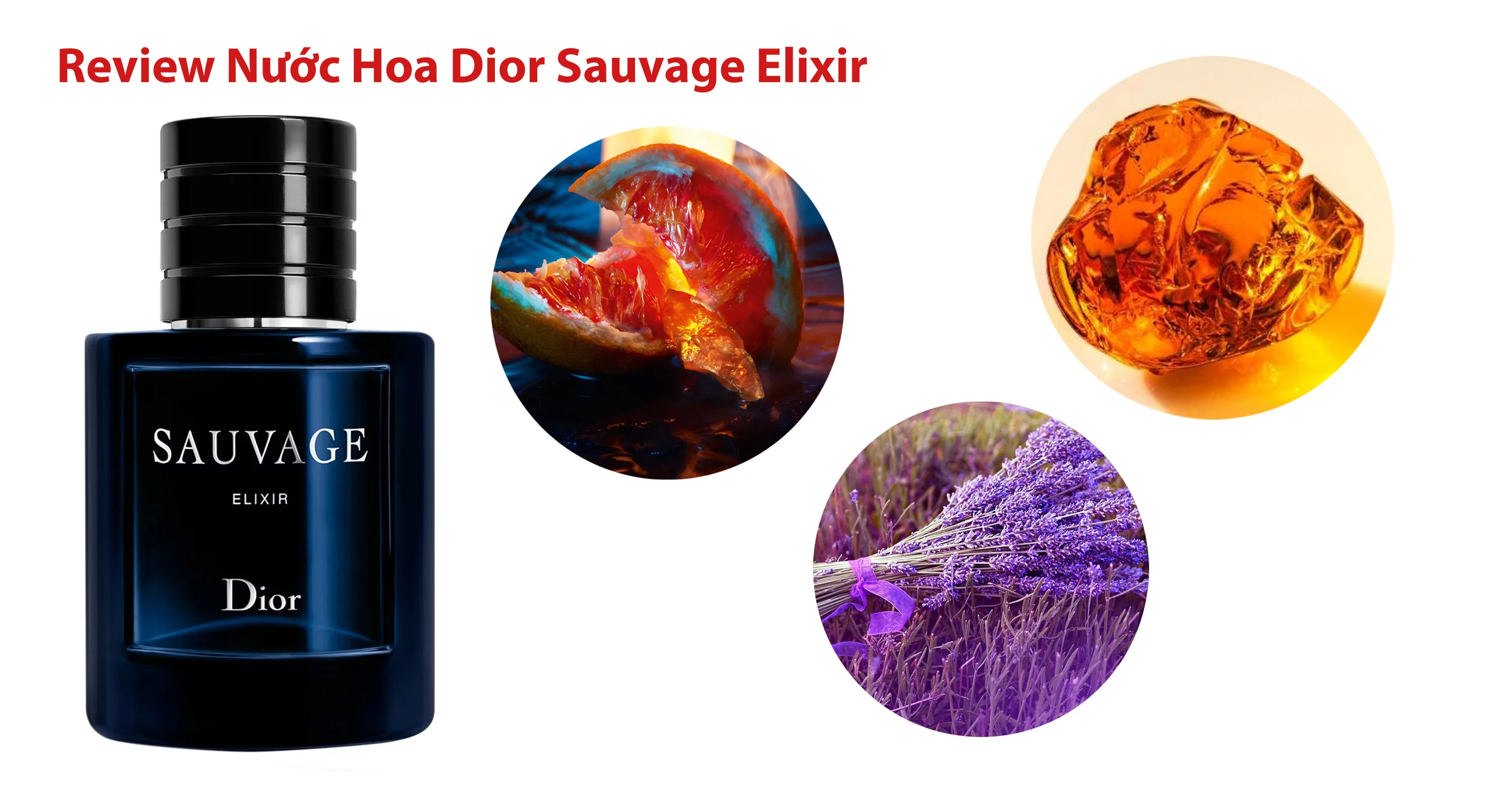 Review Nước Hoa Dior Sauvage Elixir