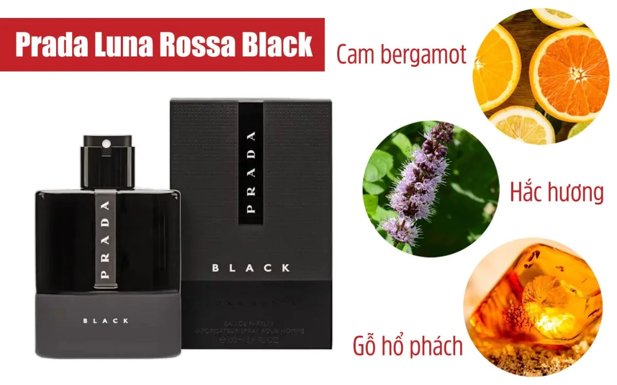 Review Nước Hoa Prada Luna Rossa Black Chuyên Sâu