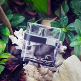 Salvatore Ferragamo F by Ferragamo Black