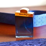 Salvatore Ferragamo Subtil Pour Homme
