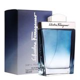 Salvatore Ferragamo Subtil Pour Homme