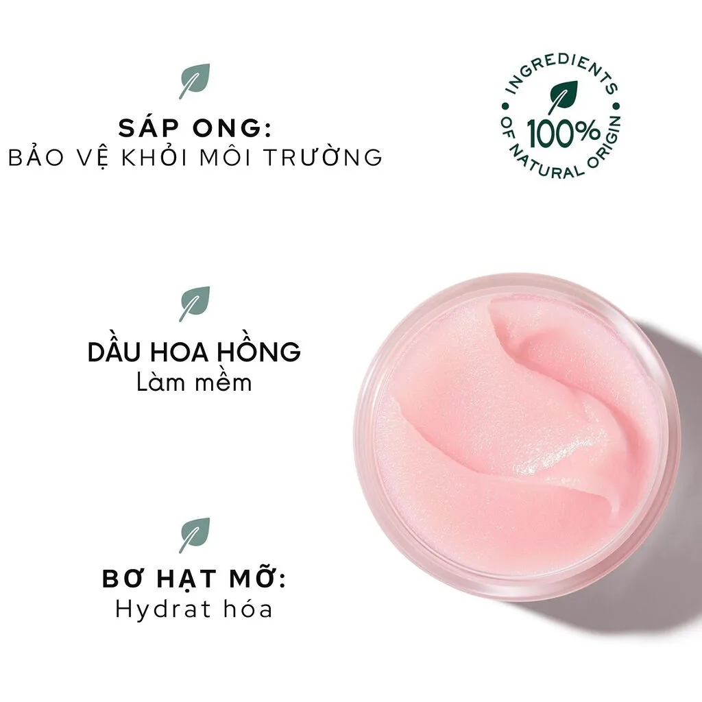 Sáp Dưỡng Môi Nuxe Moisturizing Rose Lip Balm 15g