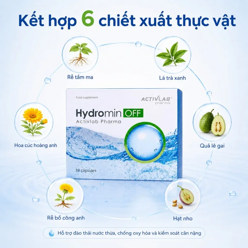 Sáu chiết xuất thực vật trong viên uống Hydromin OFF