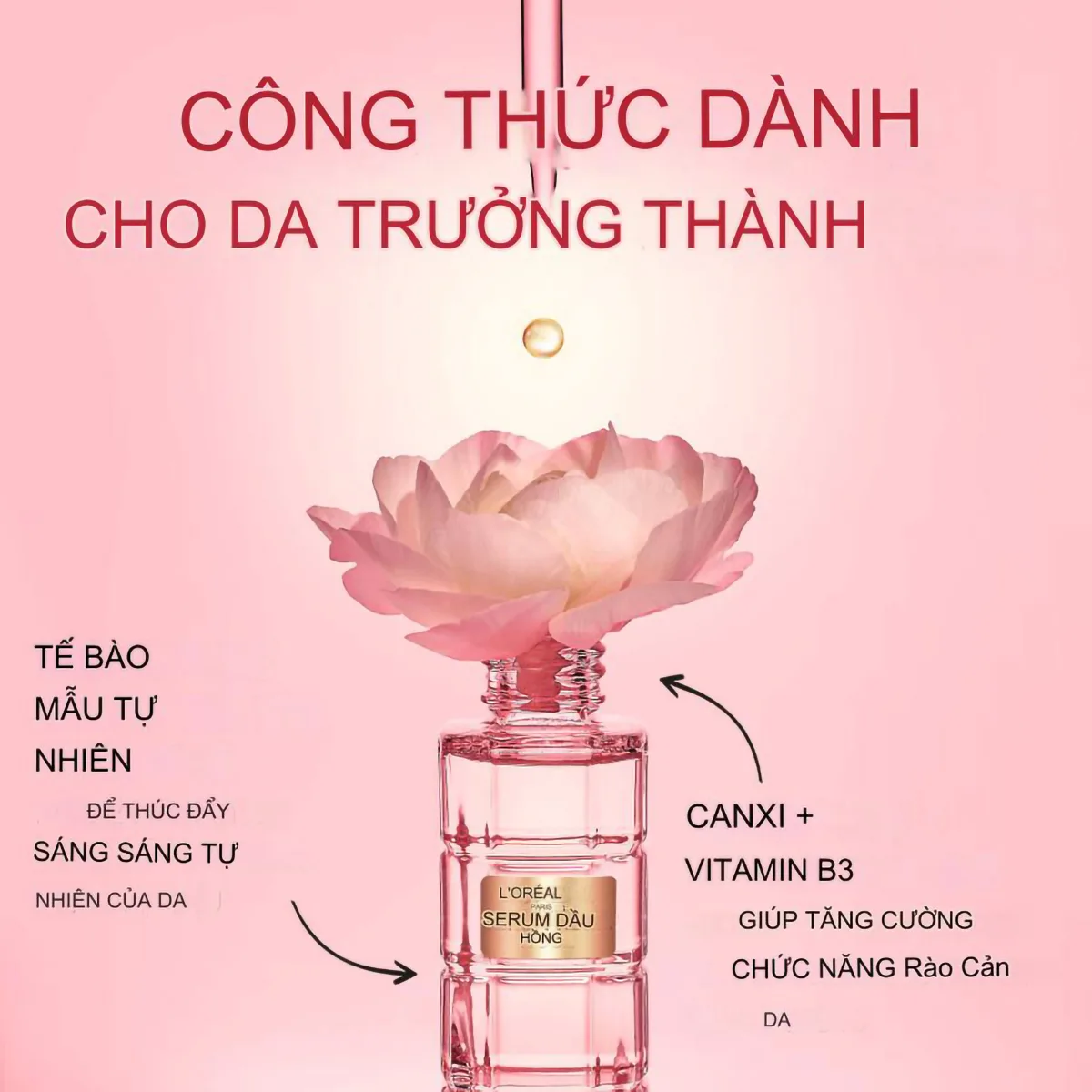 Serum Dưỡng Da Loreal Age Perfect Golden Age Huile Rose