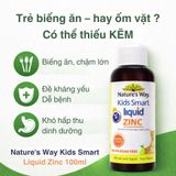 Siro Bổ Sung Kẽm Cho Bé Nature's Way Kids Smart Liquid Zinc Hiệu Quả