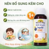 Siro Bổ Sung Kẽm Cho Bé Nature's Way Kids Smart Liquid Zinc Phù Hợp Với