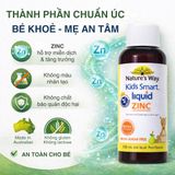 Siro Bổ Sung Kẽm Cho Bé Nature's Way Kids Smart Liquid Zinc Thành Phần
