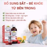 Siro Bổ Sung Sắt Và Vitamin Tổng Hợp Cho Bé Nature's Way Kids Smart Multi + Iron Liquid Công Dụng