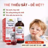 Siro Bổ Sung Sắt Và Vitamin Tổng Hợp Cho Bé Nature's Way Kids Smart Multi + Iron Liquid Hiệu Quả
