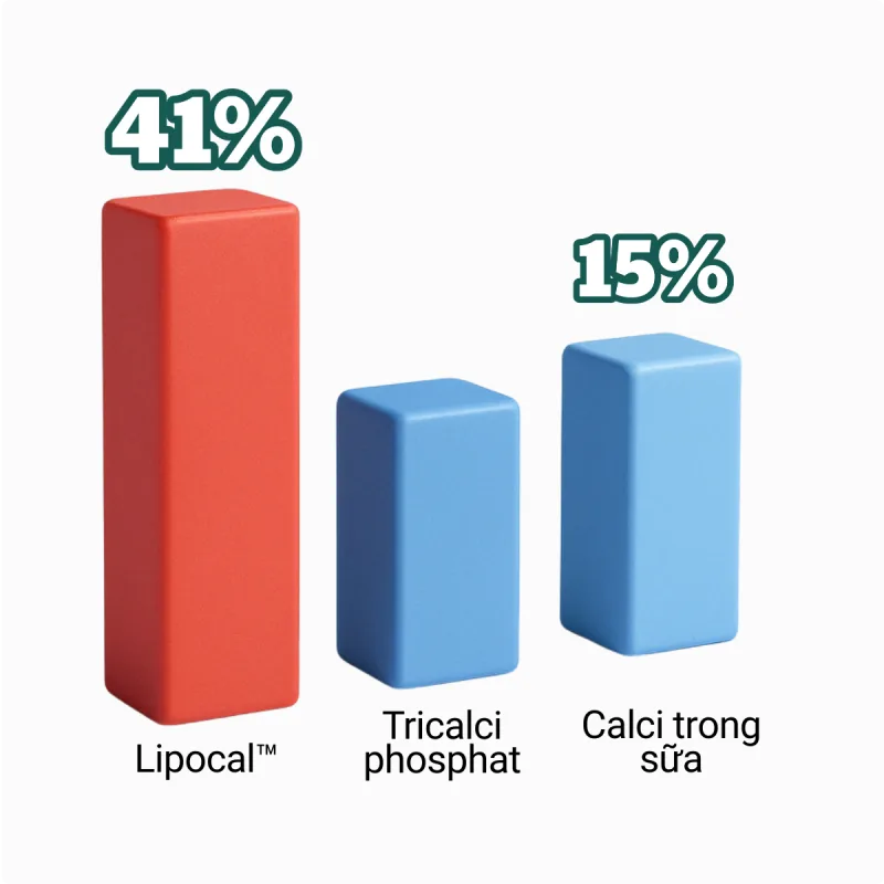 So Sánh canxi lipocal và canxi thông thường