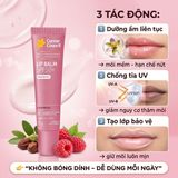 Son Dưỡng Chống Nắng Cancer Council Raspberry Lip Balm SPF50+ Công Dụng