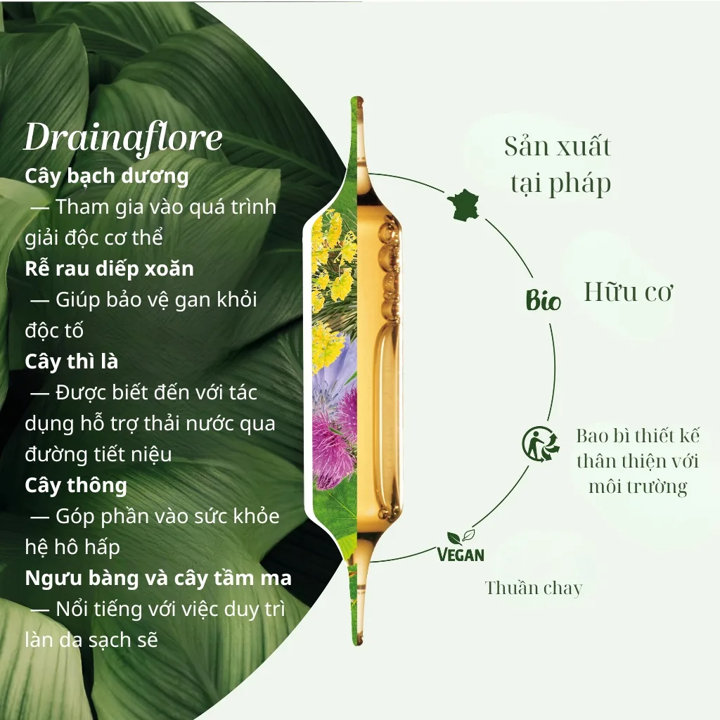 Thành Phần Công Dụng Nước Uống Thanh Lọc Cơ Thể Drainaflore Bio Detox