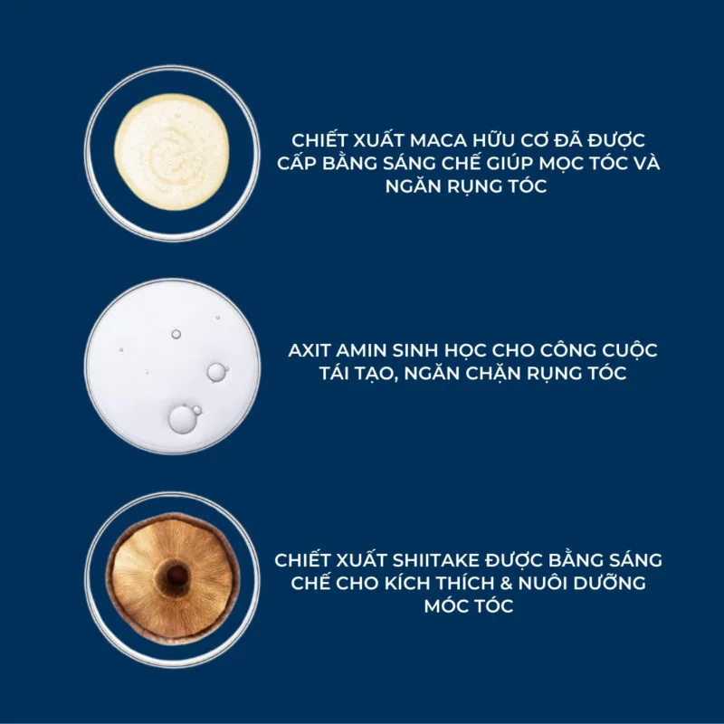 Thành phần của Serum Trị Rụng Tóc Cho Nam Phyto Phytocyane Men
