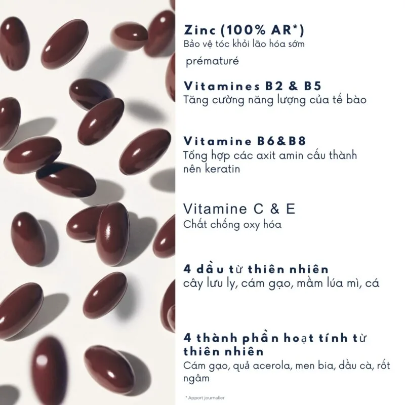 Thành phần của Viên Uống Mọc Tóc Phyto Phanere